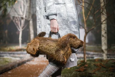 Look 50
